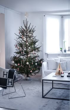 Lille sødt juletræ, som kan være i stuen hele december plant det i ... Stue juletræ