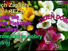 Najlepsze Obrazy Na Tablicy You Tube 61 Tube Egg I Egg As Food