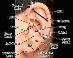 A Guide To The Diffe Types Of Ear Piercings Multiple Earrings Piercing Types And 80 Ideas On How To Wear Ear Piercings Earpiercings Accessories