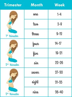 Pregnancy Guide For Men Your Best Survival Week To Month Pregnancy Chart
