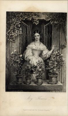 Victorian Lady Gathering Flowers Antique 1884 Book Illustration