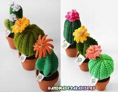 Цветущий вязаный кактус. Схемы #амигуруми #amigurumi #handmade #вязаниекрючком #игрушкакрючком #вязаниеигрушек #описание #схема #crochet #pattern #цветыкрючком #кактус