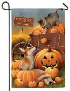 Pumpkin and Kallys Halloween (The Pups)