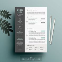 cv resume template microsoft word