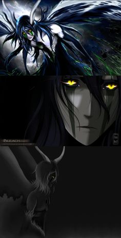 147 best ulquiorra schiffer