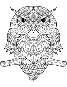Owl Coloring Page for Adults | Adult Coloring Pages | Pinterest ... Owl Coloring Page for Adults | Adult Coloring Pages | Pinterest ...