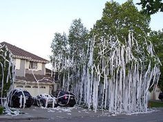44 best University Presses images on Pinterest | Colleges ... 44 best University Presses images on Pinterest | Colleges ...