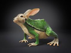 Des animaux hybrides ..