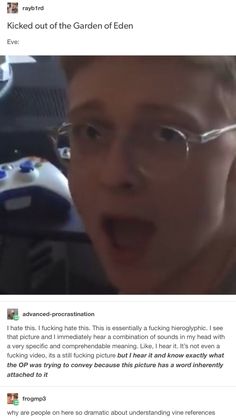 Vine Screenshots Are The New Hieroglyphs Vine Screenshots Are The New Hieroglyphs