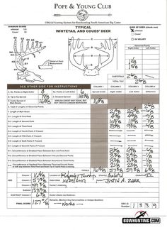 the private life of deer infographic squares and learning boone and crockett score sheet whitetail