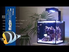 159 best fishie wishlist