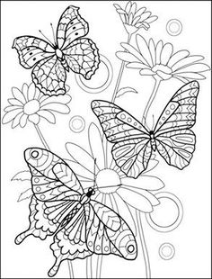 Bird Patterns, Blank Coloring Pages