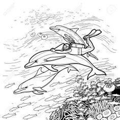54 Delfine Coloring Pages ideas | coloring pages, dolphin coloring
