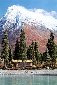 Log dick book alaska you were Understand log dick book alaska are mistaken