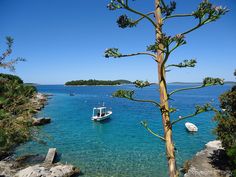 Argentinien vs island