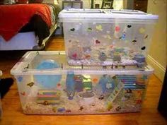 35 best hamster bin