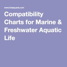 10 best my aquarium