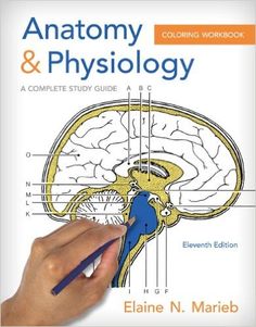 Anatomy Physiology Coloring Workbook A Complete Study Guide 9780321960771 Medicine Health