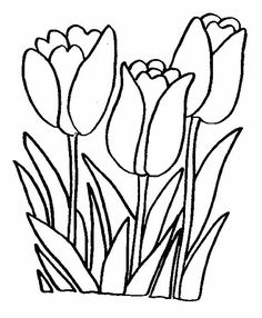 tulips coloring page 22 is a coloring page from flowerslet your children express their - Flower Coloring Page tulips coloring page 22 is a coloring page from flowerslet your children express their - Flower Coloring Page
