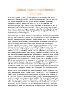 Analytical essay on global warming