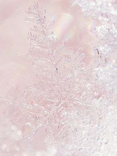 Christmas Holiday Background Wallpaper By Kimberly Richard