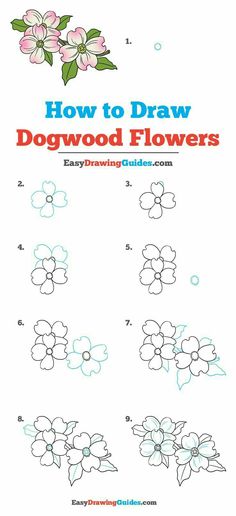 how to draw a lily step by step drawing tutorials with pictures how to draw dogwood flowers really easy drawing tutorial