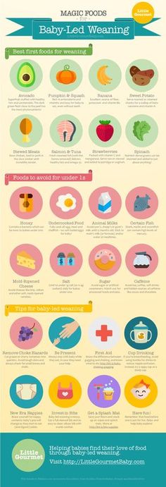 baby led weaning my experience tips first foods and what works infographic the magic list of baby led weaning foods