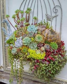 Succulents Wallpaper, Hanging Succulents, Growing Succulents, Succulents In Containers, Container Flowers, Cacti And Succulents, Planting Flowers, Cactus Plants