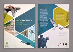 45 best brochure cover