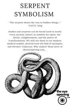 Mindfulness, Kundalini Yoga, Spiritual Symbols, Rebirth Symbol, Enlightenment Symbol, Serpent Symbolism, Ancient Symbols, Snake Symbolism, Spirit Guides