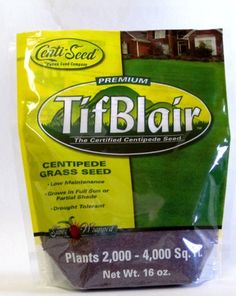 12 Best Centipede Gr Images On Pinterest Seed Tifblair Centipede Gr Seed 1 Lb Bag Certified Patten 41 99