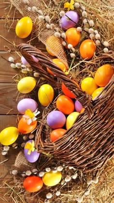 This wallpaper is shared to you via ZEDGE
