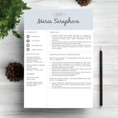 Executive Resume Template 5 Pages - Professional Teacher Cv