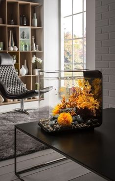 9 best acrylic aquarium