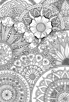Floral Design Colouring Page Floral Design Colouring Page