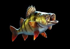 410 A fish skeleton ideas | fish skeleton, skeleton art, fish