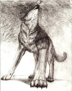 wolf howling to a moonlit sky pen ink