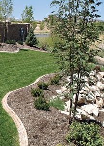 Garden Ideas Colorado colorado xeriscaping design ideas | xeriscape garden in colorado Garden Ideas Colorado colorado xeriscaping design ideas | xeriscape garden in colorado