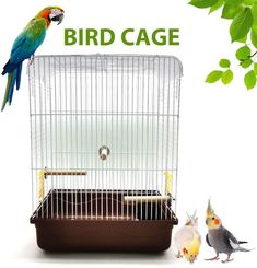 鳥カゴ 文鳥 ケージ キャリー のアイデア 17 件 文鳥 ケージ 止まり木 文鳥 鳥カゴ 文鳥 ケージ キャリー のアイデア 17 件 文鳥 ケージ 止まり木 文鳥