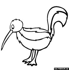 skunk coloring pages coloring pages pinterest