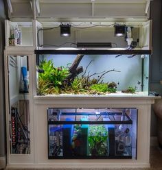 7 best reef tank
