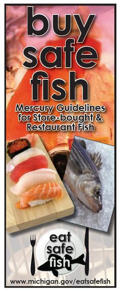 this links to the natural news article california governor bans this links to the natural news article california governor bans commercial gm salmon production http www naturalnews com 047628 gm salmon gmo