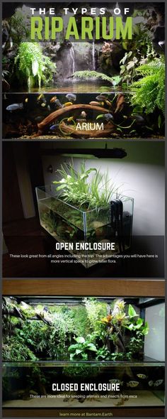 65 best fish tank