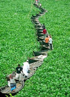 Over 350000 flyr undan cyklon i bangladesh Over 350000 flyr undan cyklon i bangladesh