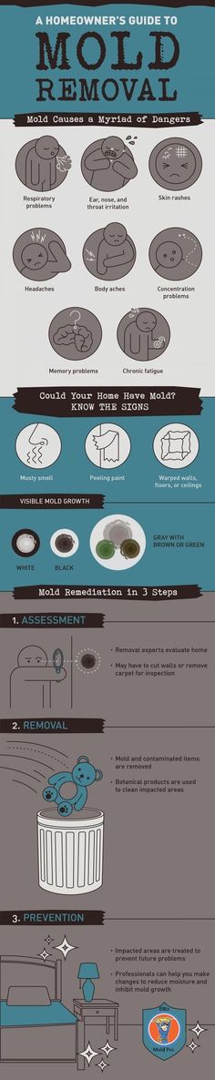 10 Clean Basement Ideas Mold Remover Get Rid Of Mold Mold Remediation