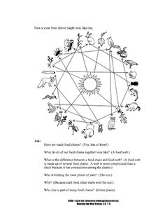 57 best rainforest food chain images rainforest food chain venn diagram food chain food web