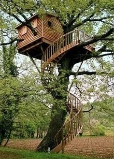 Chiaki Fujita On Twitter Beautiful Tree Houses Cool Tree Houses Tree House Diy Chiaki Fujita On Twitter Beautiful Tree Houses Cool Tree Houses Tree House Diy