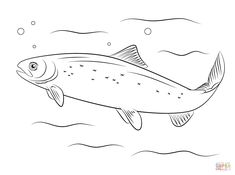 salmon coloring pages ocean theme party pinterest salmon and mosaics