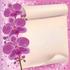 100 best wedding invitation border bg images on pinterest bridal