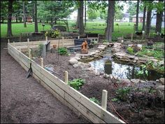 76 Best Box Turtle Habitat Images Tortoise House When Planning An Outdoor Turtle Pen There Are Many Things To Consider It Is Important Research The Specific Needs Of Species That You Own So
